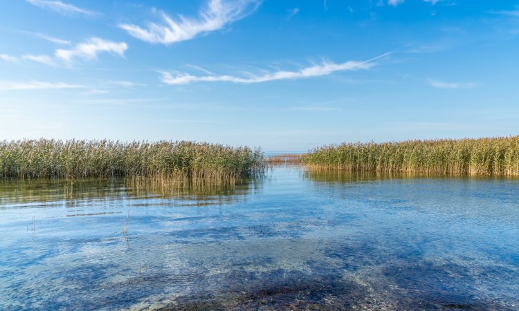 Lista atrakcji w regionie