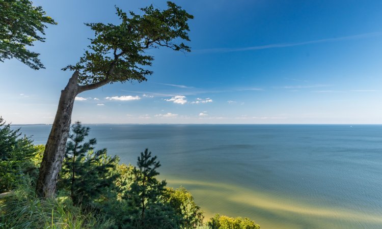 Lista atrakcji w regionie