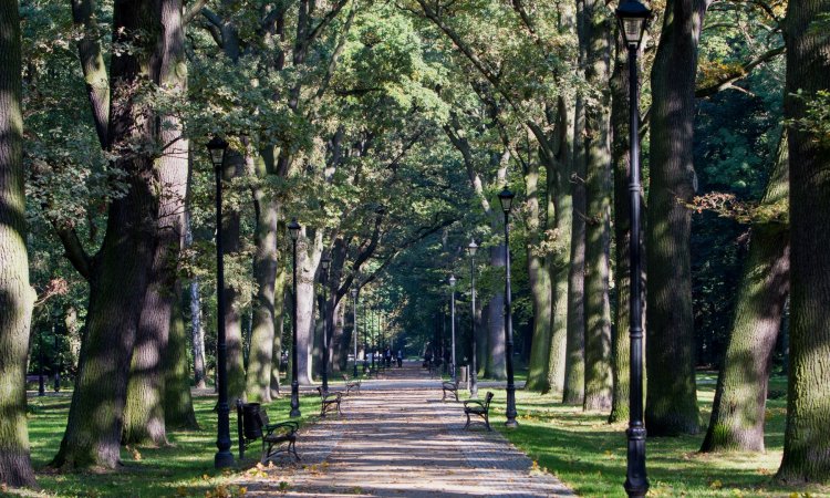 Lista atrakcji w regionie