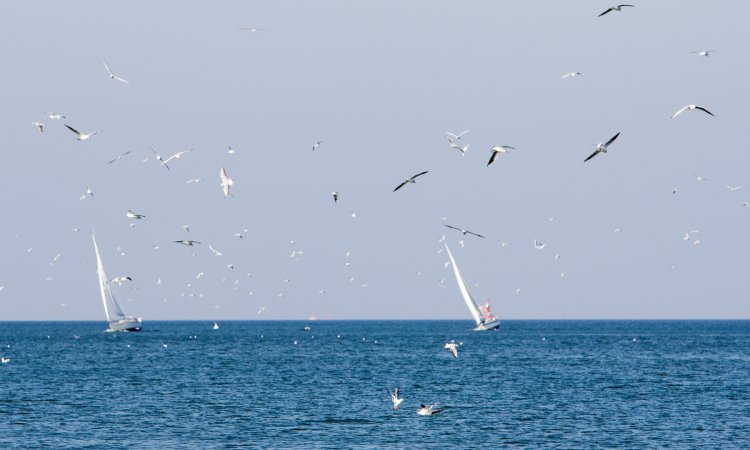 Lista atrakcji w regionie