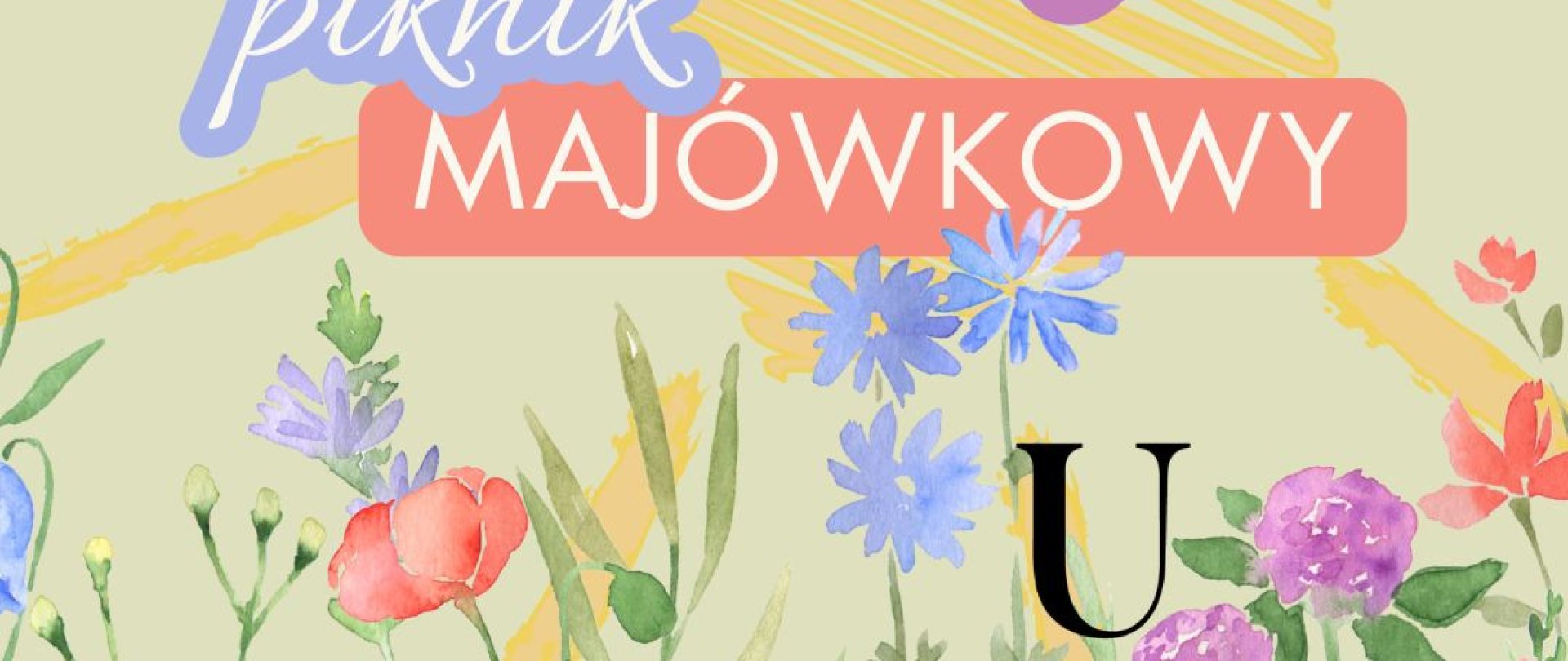 Piknik majówkowy/Spring Picnic Experience