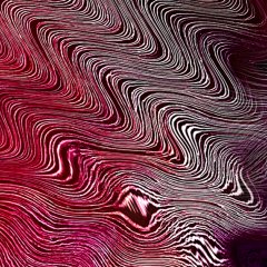 ~Fale papilarne~ wystawa Martyny Łuszczyńskiej