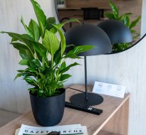 Arche Hotel Siedlce Modułowy