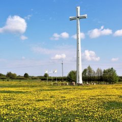 Błonia - Krzyż Papieski