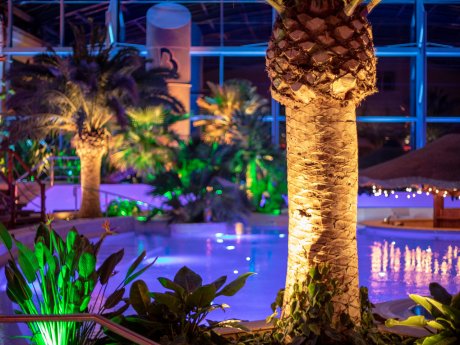 Zobacz, co czeka na dzieci w Basenach Tropikalnych