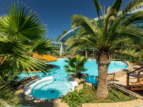 Zobacz, co czeka na dzieci w Basenach Tropikalnych