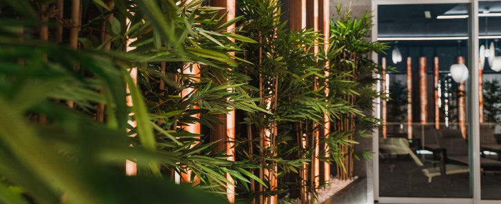 Informacje podstawowe