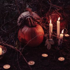 Domek Łebskiej Baby Jagi