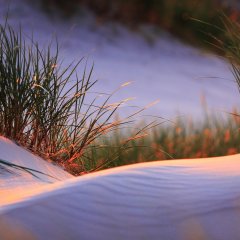 Ruchome  wydmy i Słowiński Park Narodowy