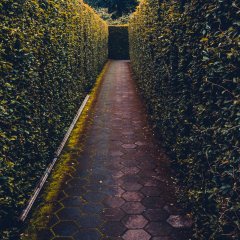 Największy w Polsce Labirynt 3D