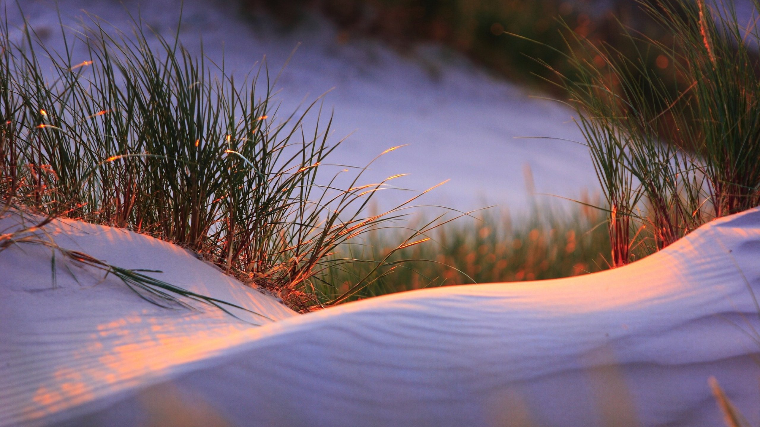 Ruchome  wydmy i Słowiński Park Narodowy