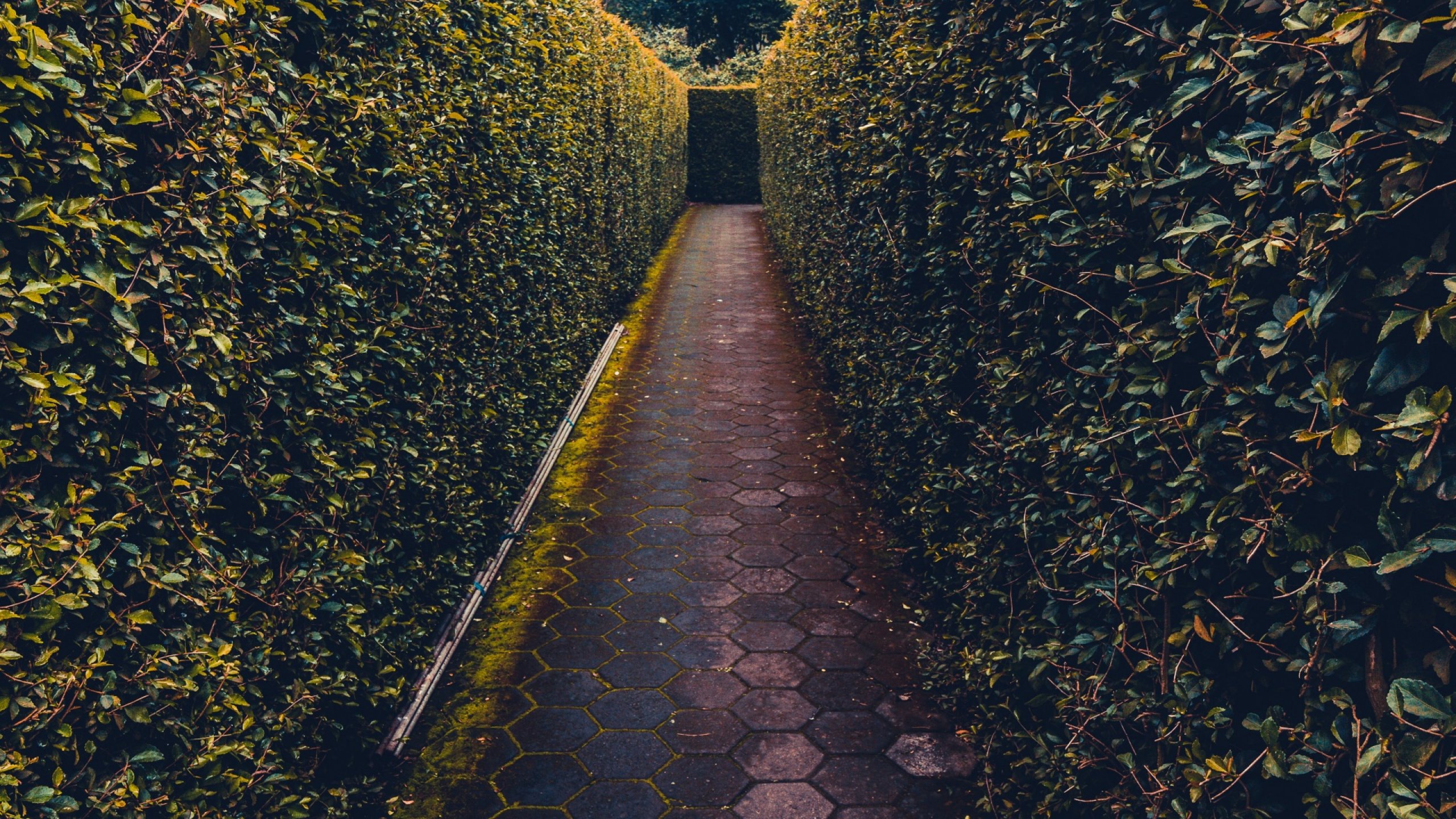 Największy w Polsce Labirynt 3D