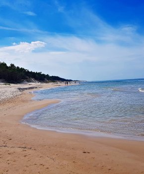 Dlaczego warto wybrać