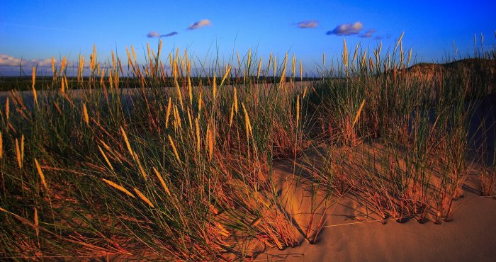 Ruchome wydmy i Słowiński Park Narodowy