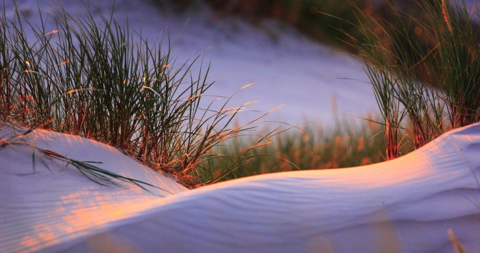 Ruchome wydmy i Słowiński Park Narodowy
