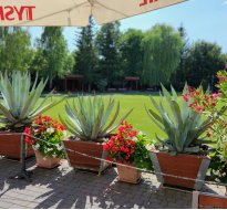 Integracje firmowe i eventy w ogrodzie