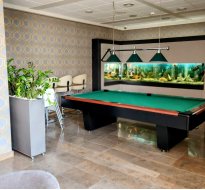 Training and conference