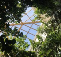 Uroczystości rodzinne