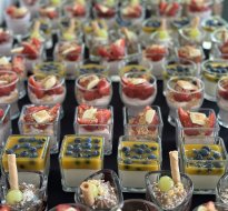 Training and conference