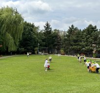 Integracje firmowe i eventy w ogrodzie