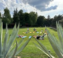 Integracje firmowe i eventy w ogrodzie