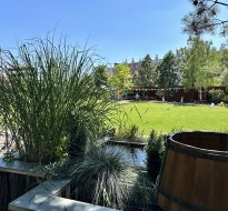 Training and conference