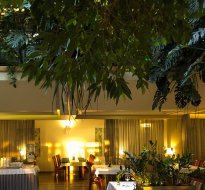 Training and conference