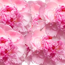 Kolacja Walentynkowa przy muzyce na żywo