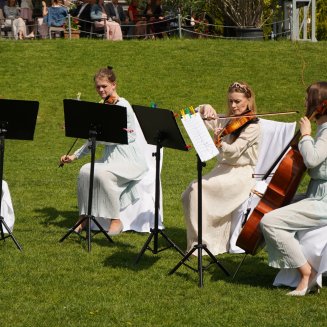 Weddings and occasional parties