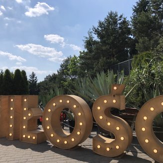 Weddings and occasional parties