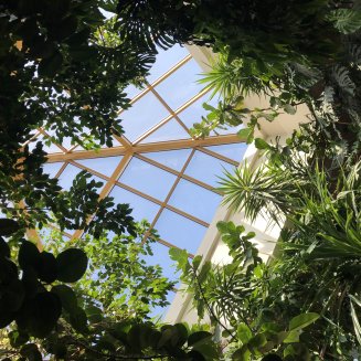 Weddings and occasional parties