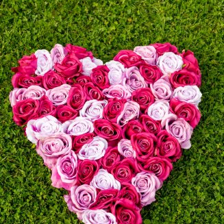 Weddings and occasional parties