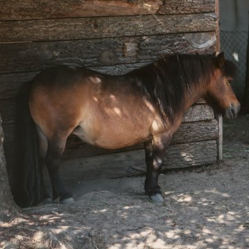 Obsługa bardzo miła, warunki extra, wyżywienie bardzo dobre