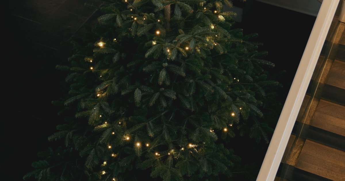 Hotelarnia****HOTEL&SPA