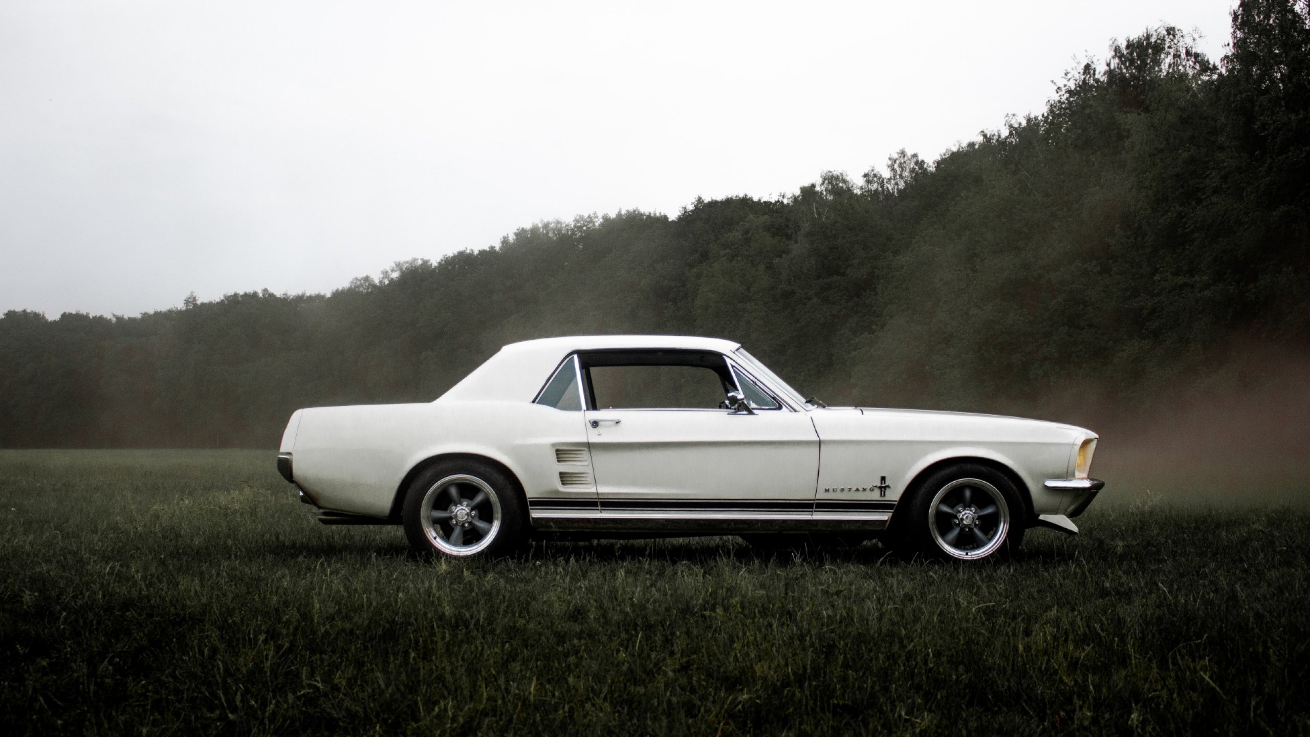 HOT_cars w HOT_elarni