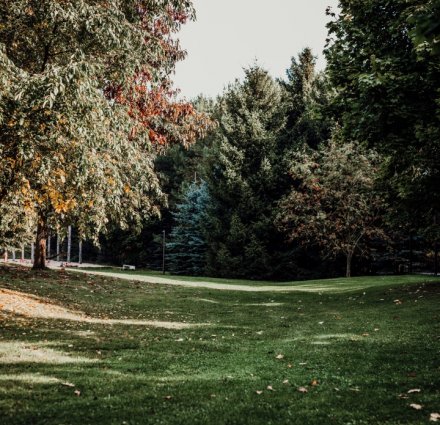 Beautiful surroundings