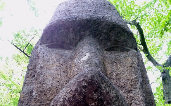 The Arkady Fiedler Museum