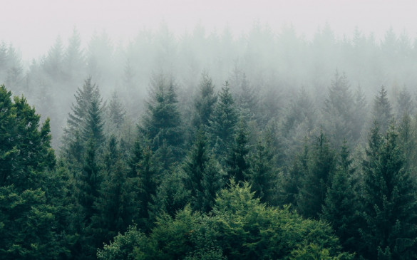 The viewing tower in Szreniawa