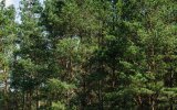 Wyjazd pod namiot z dzieckiem &ndash; jak przygotować pierwszy rodzinny camping?