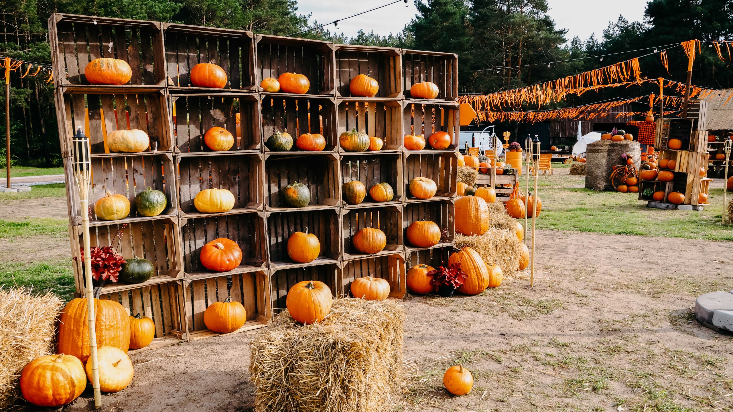 Banner-Hintergrund