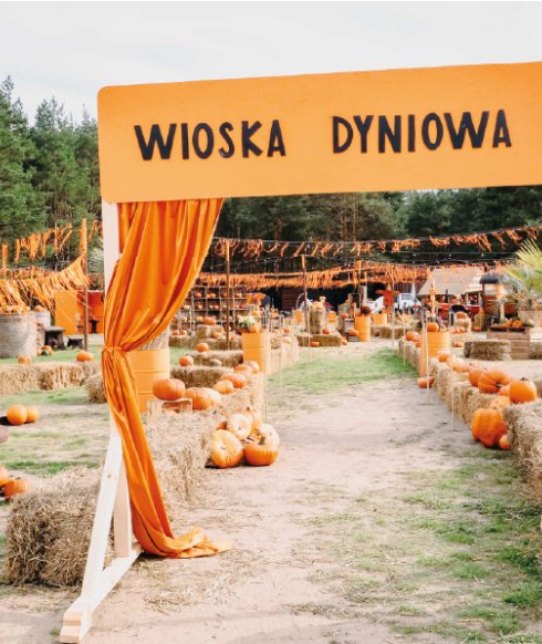 Atrakcje dla Twojego Zespołu 
