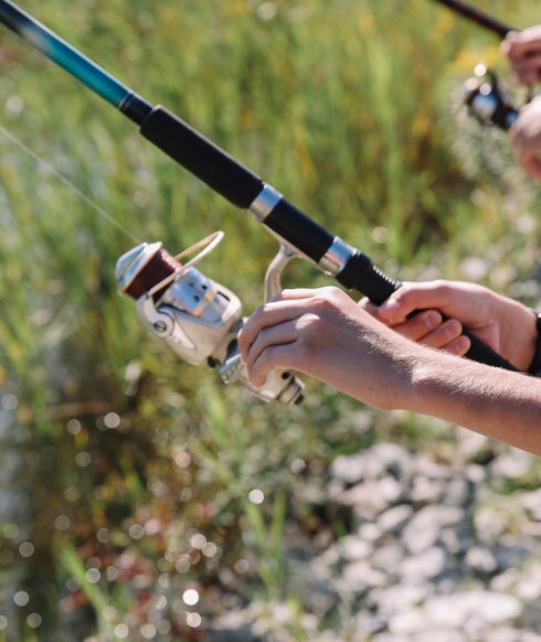 Wędkowanie na Zatoce Bajka