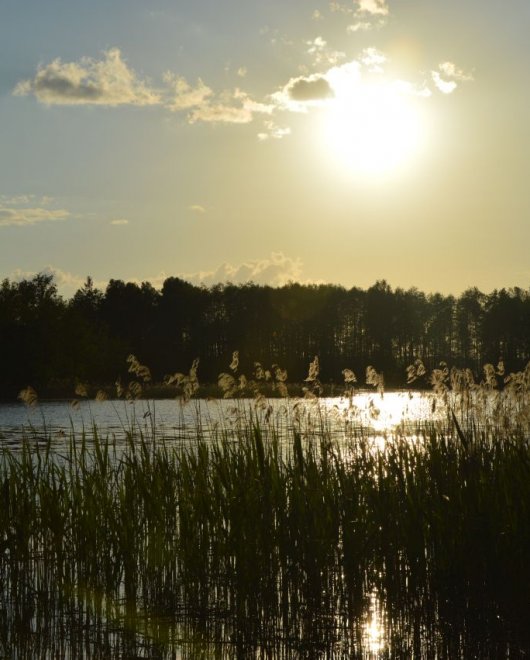 Niepowtarzalny klimat