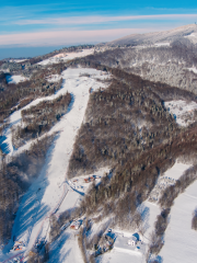 Galerie sociálních médií