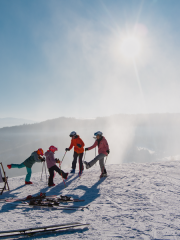 Galerie sociálních médií