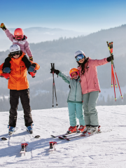 Galerie sociálních médií