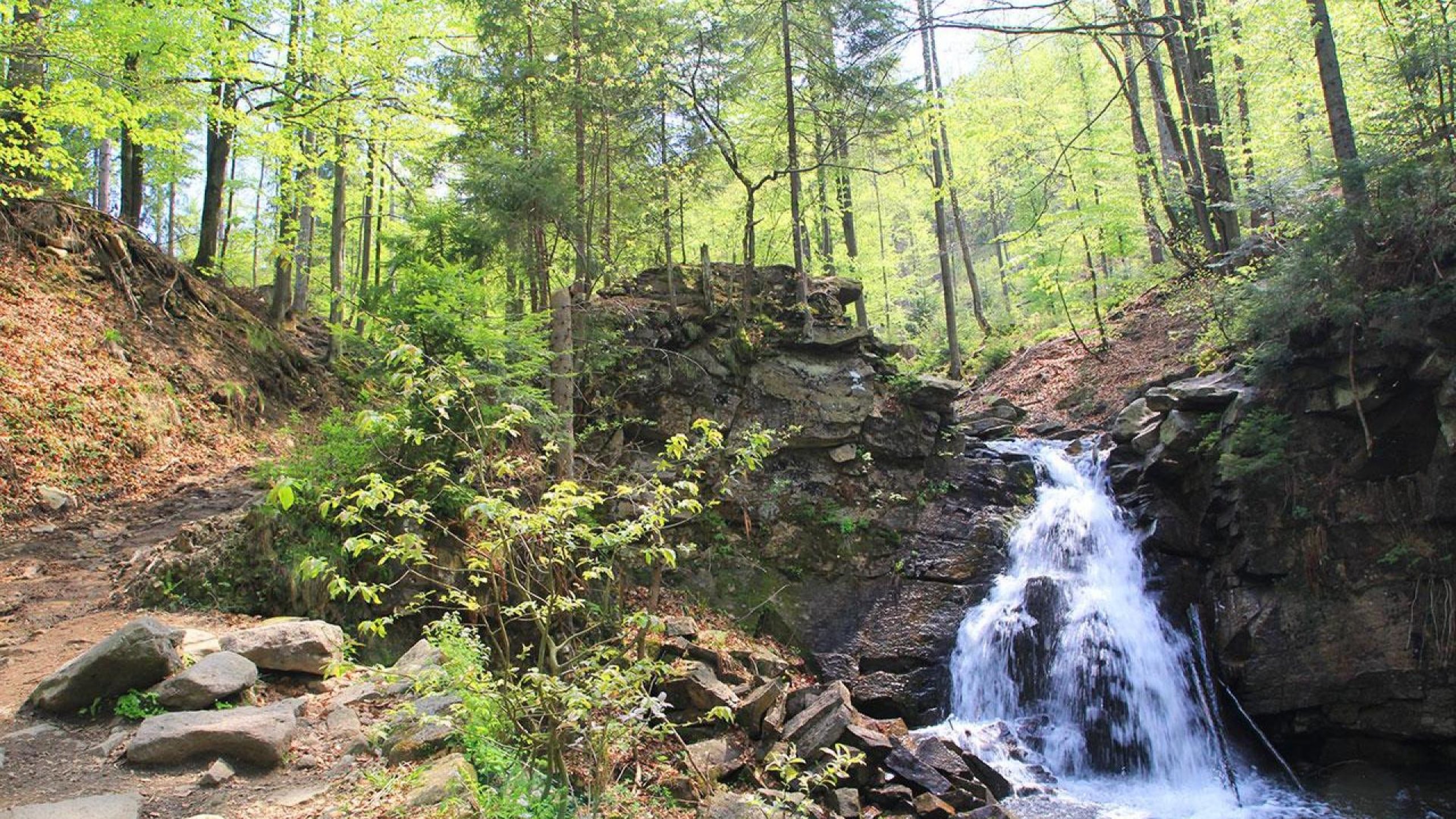 A journey to the source