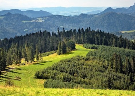 wędrówki górskie w Beskidach