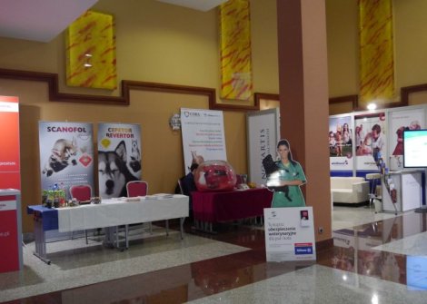 1300 m² powierzchni w hotelu