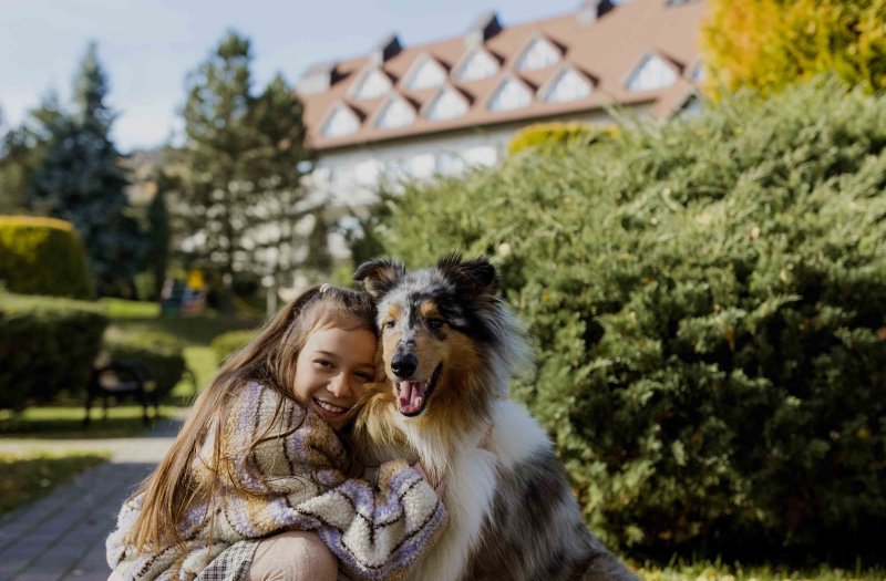 przestrzeń dla czworonogów